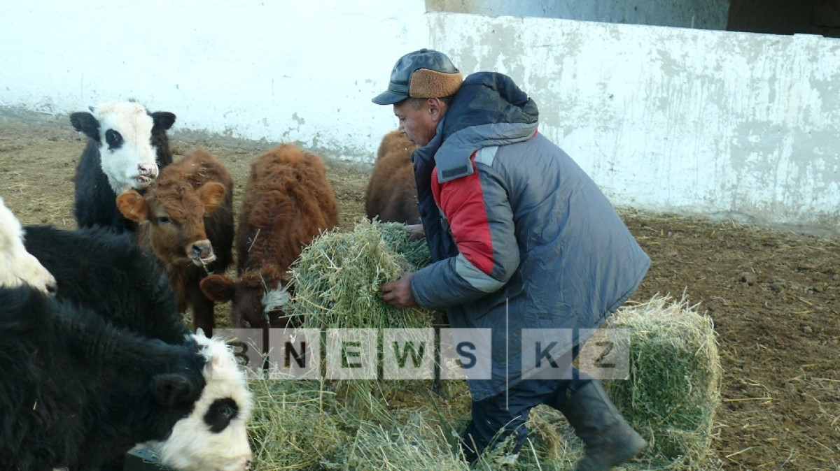 Марьяна Касимова