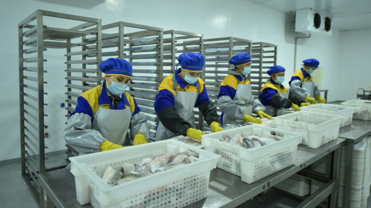 В ЮКО запущен новый рыбный завод