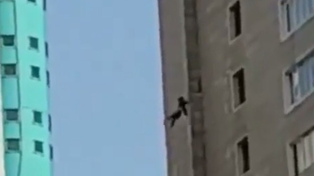 Молодая девушка выпала из окна 19 этажа в Алматы