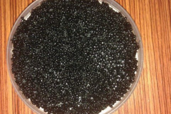 Фотография к новости: В Атырау  гвардейцы задержали легковой автомобиль с  икрой 