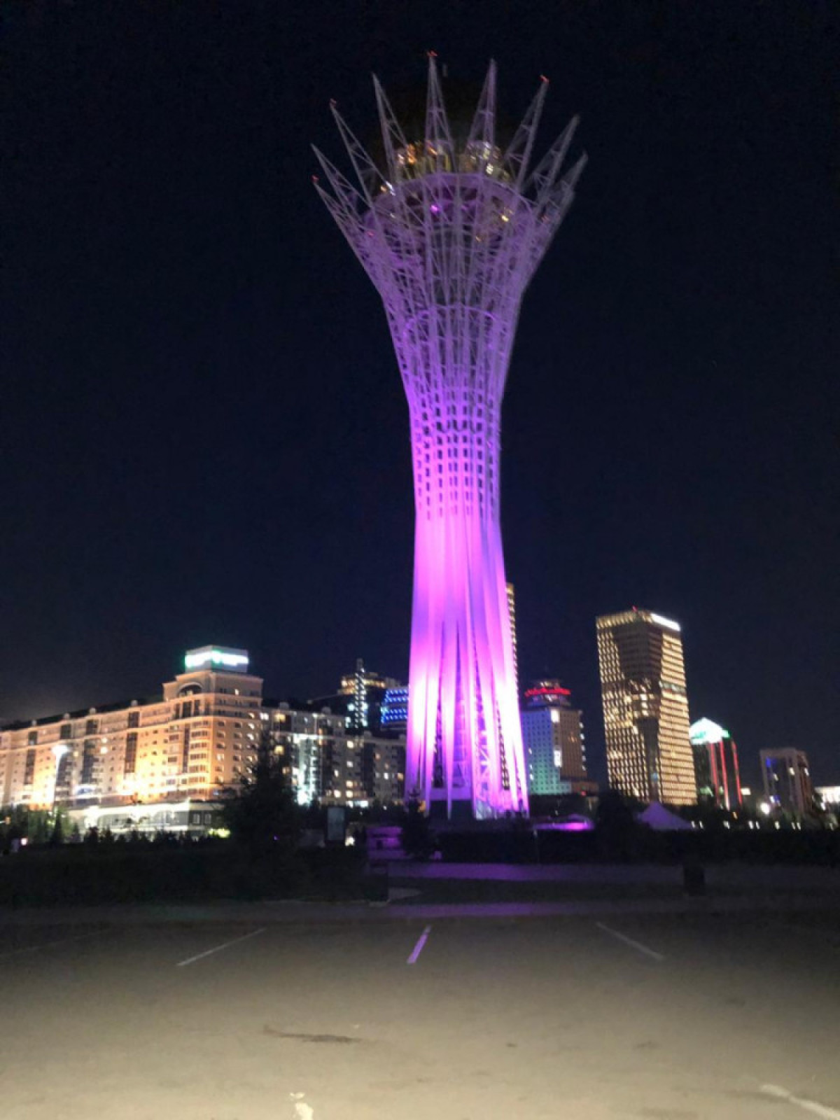 Крупные объекты Нур-Султана и Алматы одновременно подсветили фиолетовыми огнями