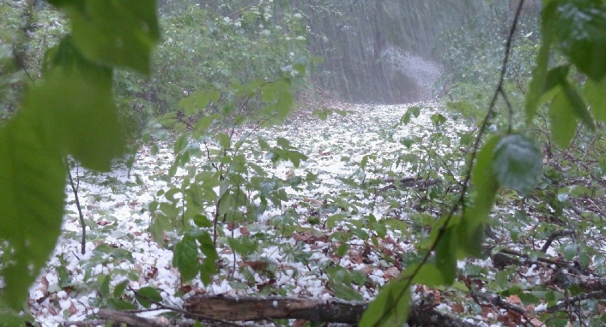 Sputnik Казахстан