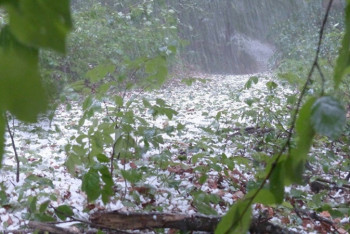 Фотография к новости: Град и сильный ветер ожидаются в Казахстане в ближайшие дни