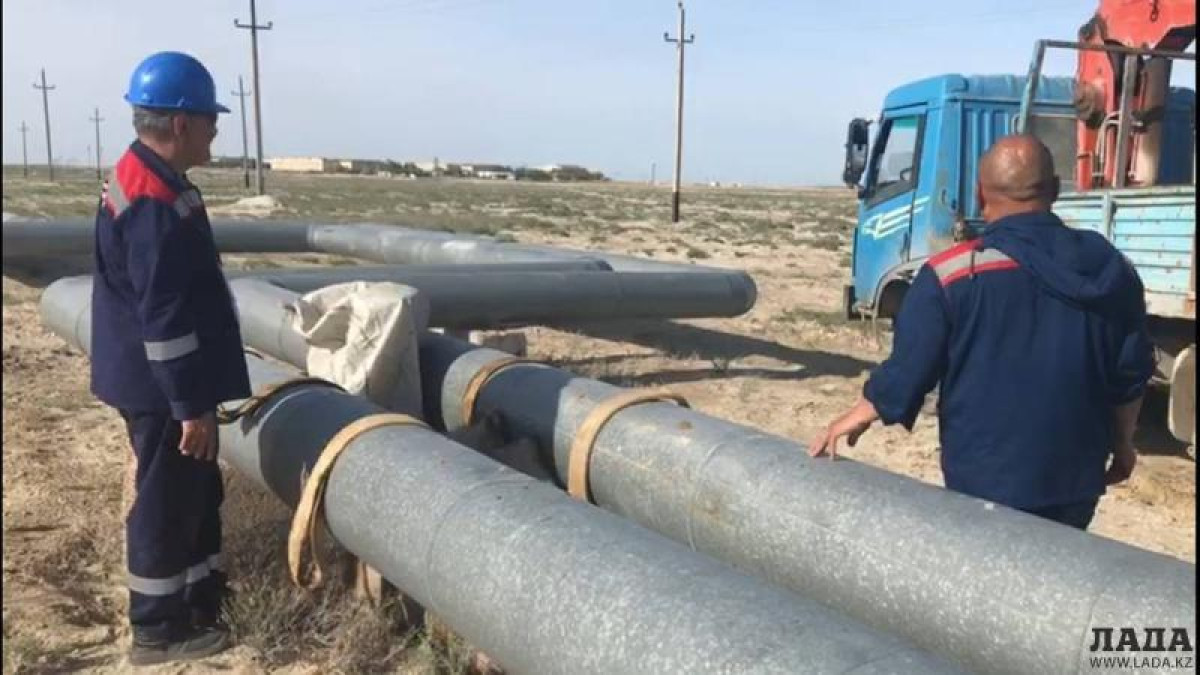 Верблюжонка спасли в Мангистау 