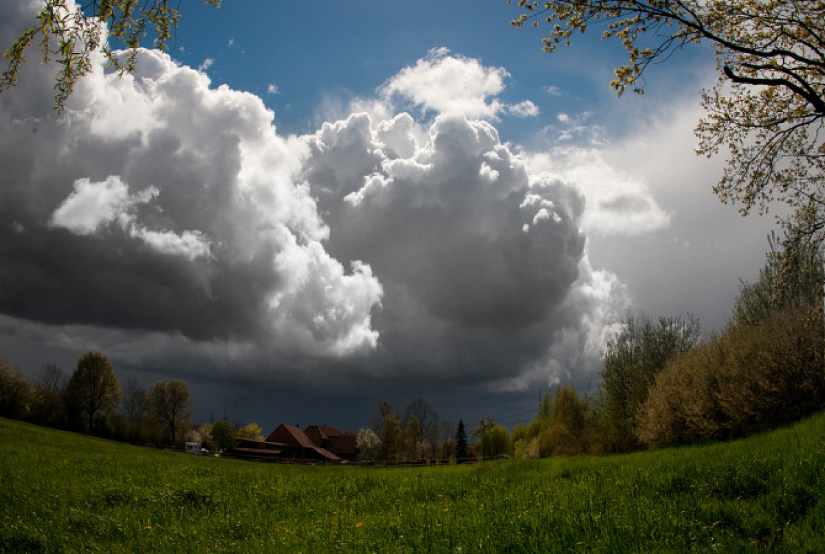 из открытых источников