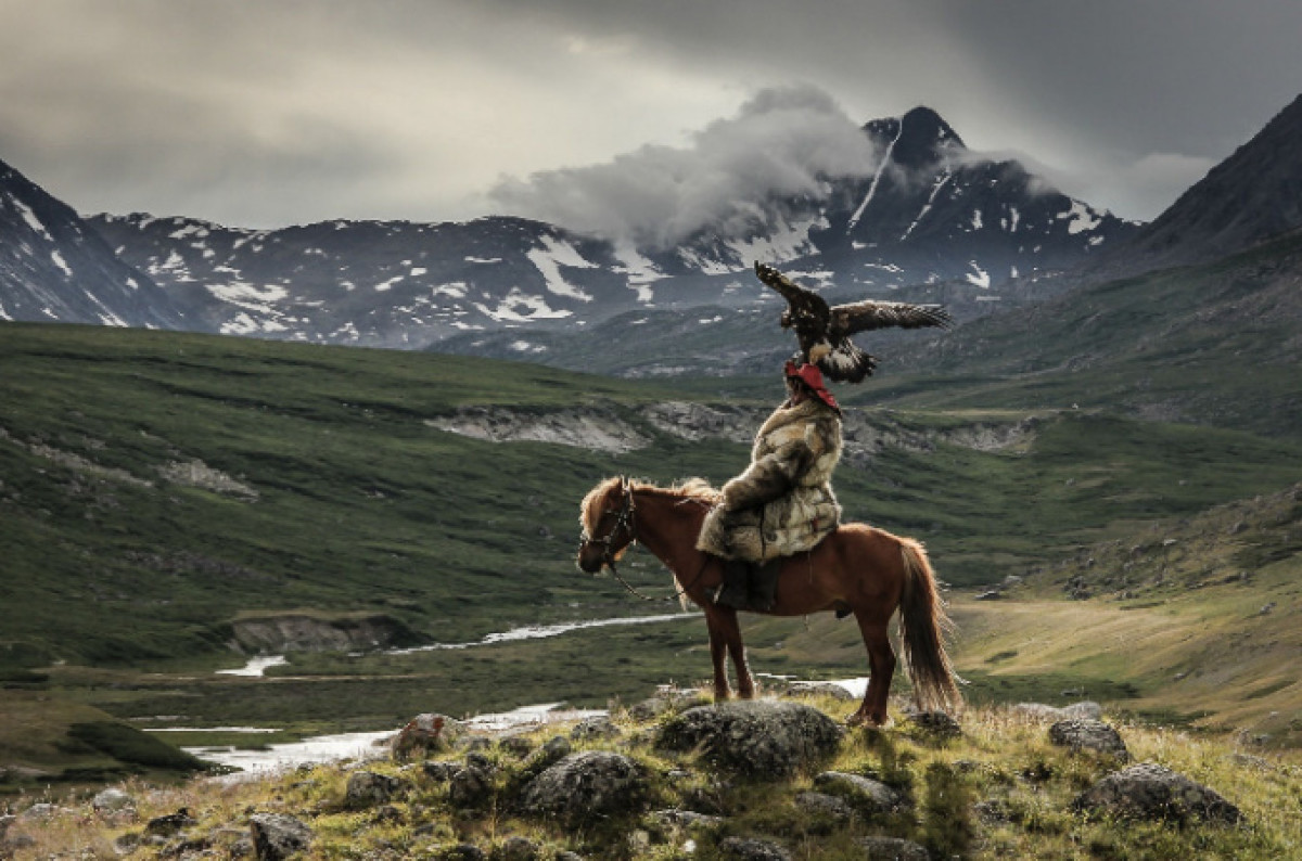 из открытых источников