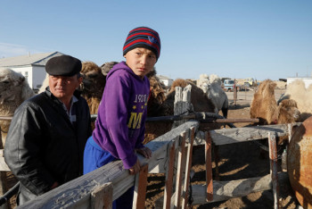 Почти на 4% снизилась доля сельского населения в РК за 7 лет