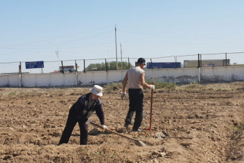 В Кызылординском областном центре психического здоровья лечат трудотерапией