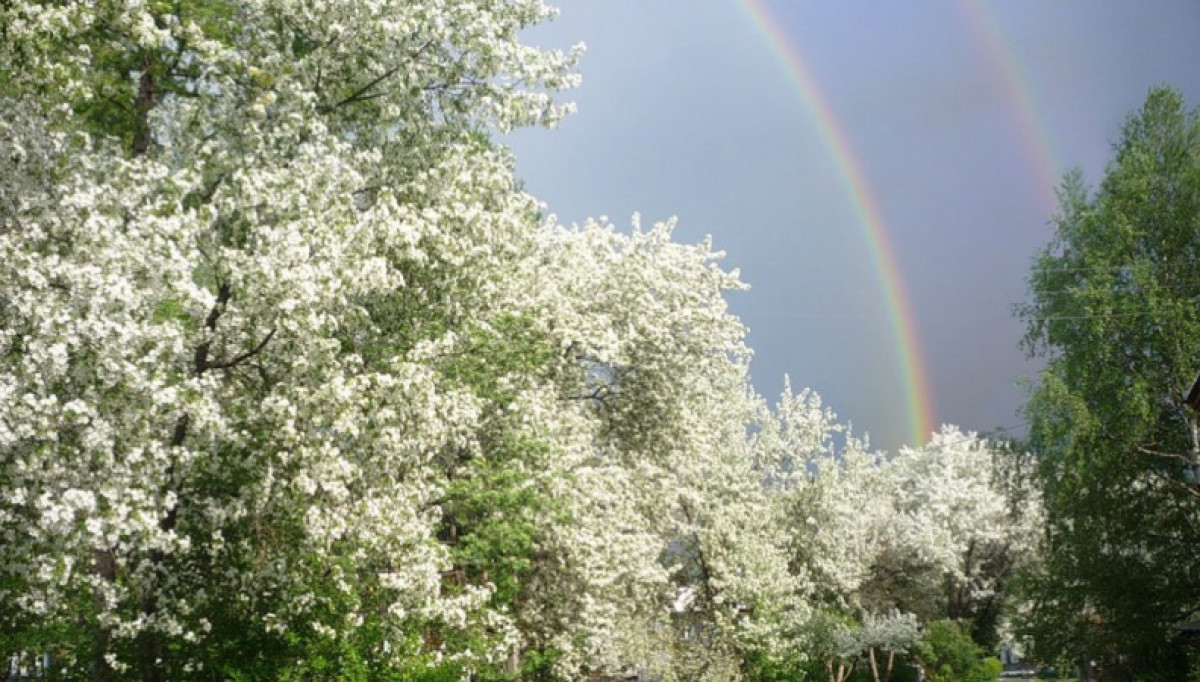 Фото из открытых источников