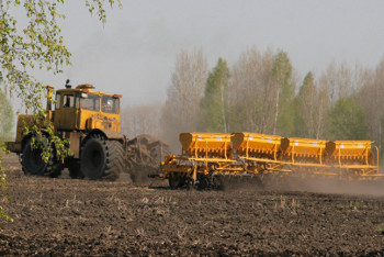 В Акмолинской области зерновыми засеяно 67,5% площадей