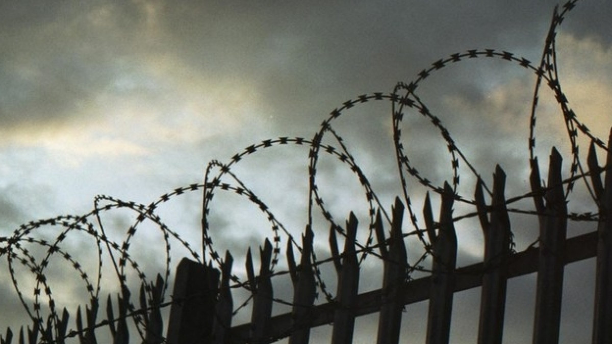 из открытых источников