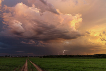 Фотография к новости: Синоптики рассказали о погоде в Казахстане 31 мая