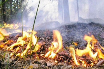Фотография к новости: Высокая пожарная опасность ожидается в ЗКО