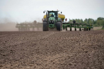 Фотография к новости: Пробную партию сахарной свёклы засеяли в Прииртышье 