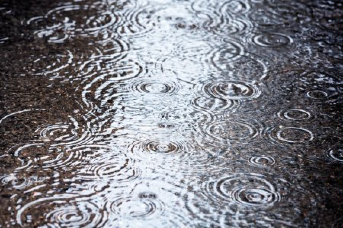 Дожди обещают синоптики в первые летние выходные 