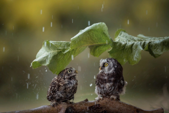 Фотография к новости: Штормовое объявлено в четырех областях Казахстана