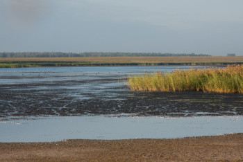 Фотография к новости: Озеро неожиданно появилось в степи в Атырауской области  