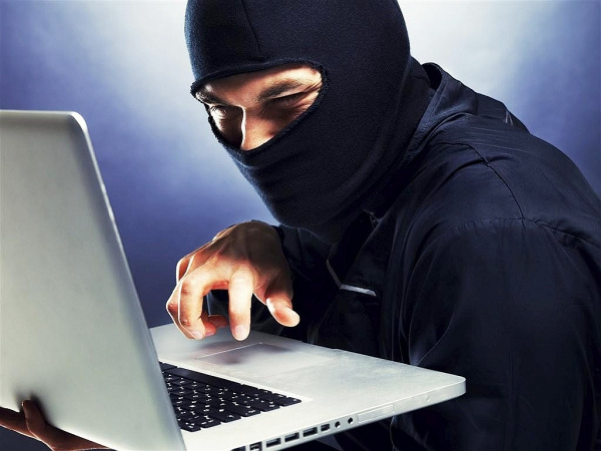 из открытых источников