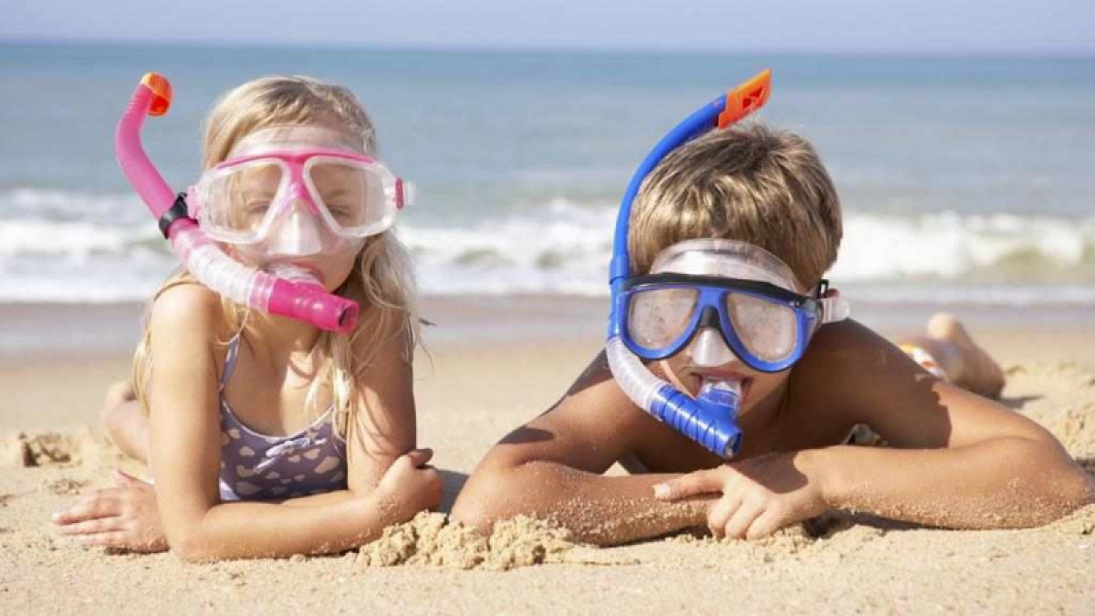 открытые источники