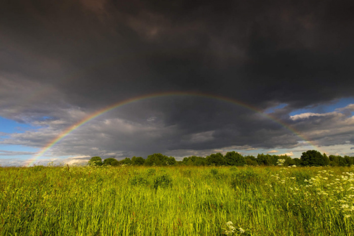 Погода на 14 июня: местами возможен град