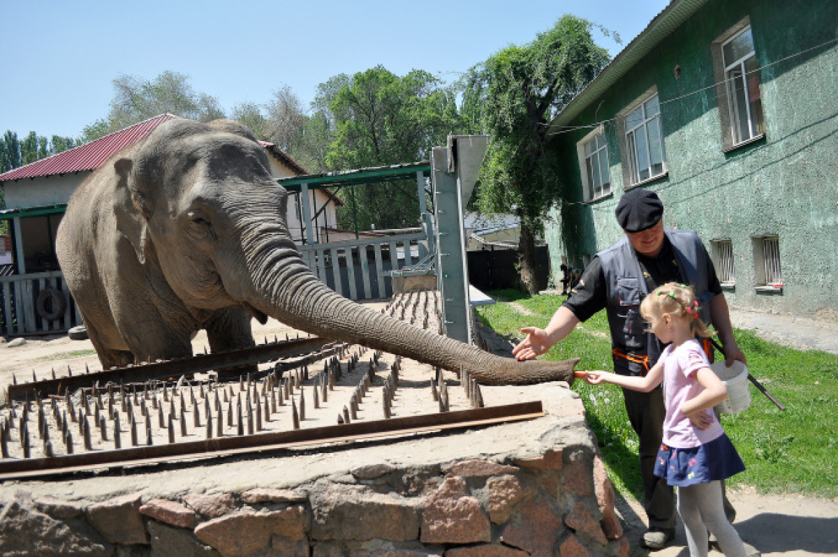Михаил Сорокоумов