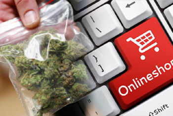 Уголовную ответственность за сбыт наркотиков через Интернет введут в Казахстане