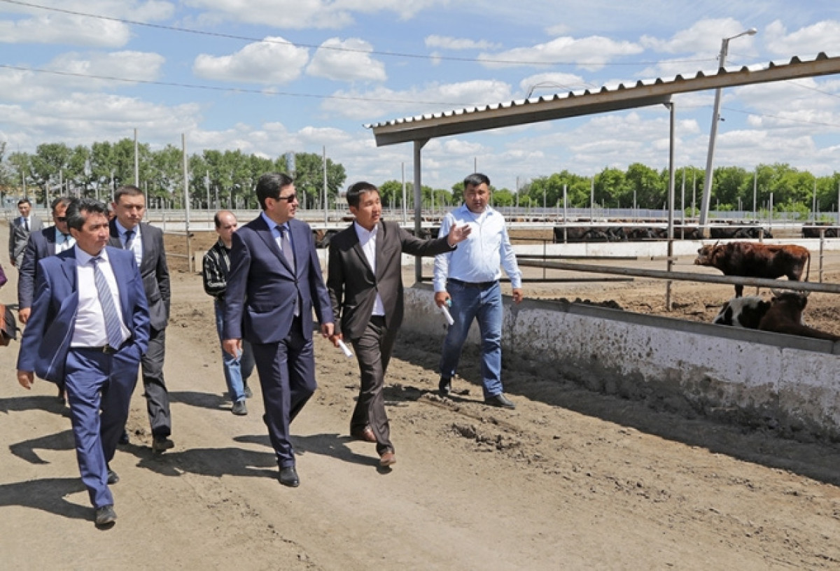 Акимат Карагандинской области