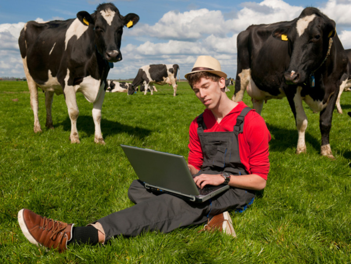 Почему молодежь Казахстана уезжает жить в сёла