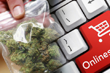 Фотография к новости: В столице заблокировали 6 иностранных сайтов по продаже наркотиков