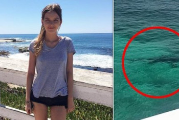 Фотография к новости: Три акулы убили американскую студентку на Багамах 