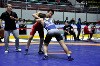 Фотография к новости: Фестиваль борьбы прошел в Кокшетау