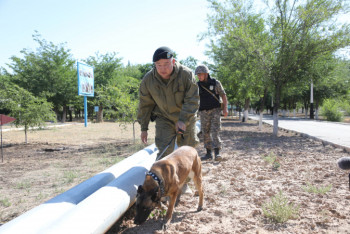 Фотография к новости: Работы по очистке Арыси от снарядов будут завершены 28 июня