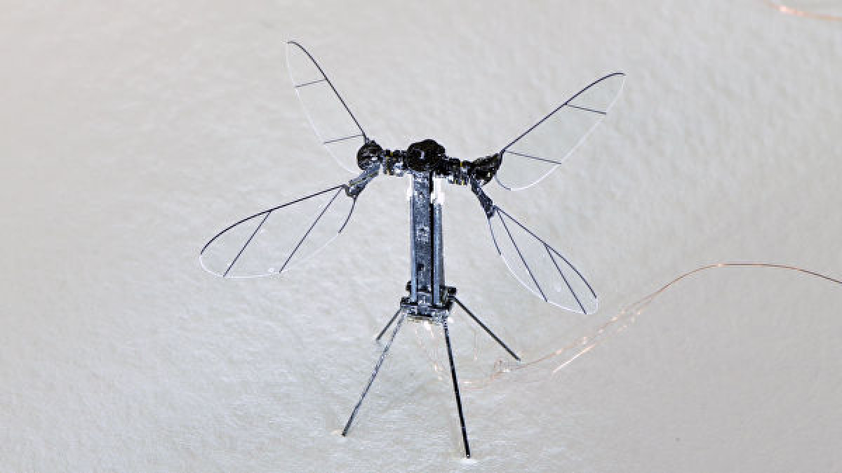 ©  Noah T. Jafferis, E. Farrell Helbling, Harvard Microrobotics Laboratory