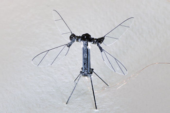 Фотография к новости: Ученые создали настоящую "киберпчелу"