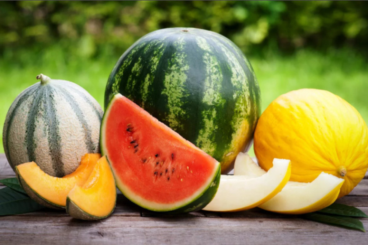 Как правильно выбрать арбузы и дыни