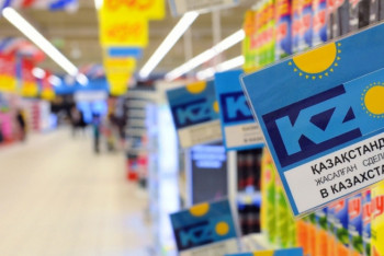 Фотография к новости: В Казахстане одобрено 65 проектов "Экономики простых вещей"