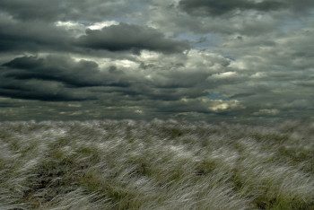 Фотография к новости: В июле на Казахстан обрушится ветер ураганной силы