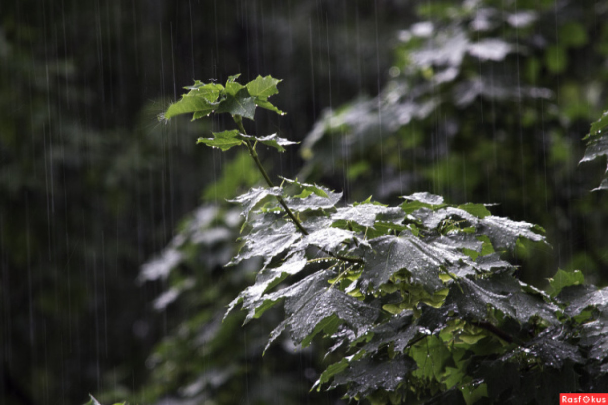 Синоптики рассказали о погоде в Казахстане 6 июля