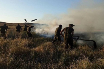 Фотография к новости: Около войсковой части в Туркестанской области произошел пожар