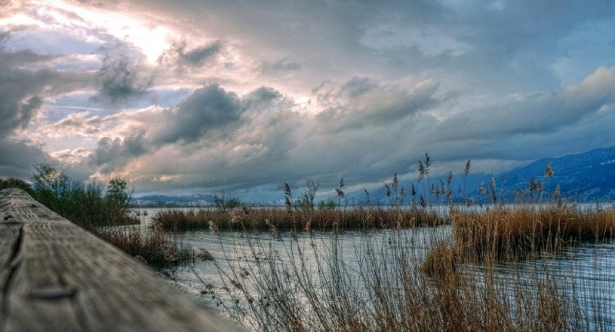 Тело подростка нашли в реке Каратал