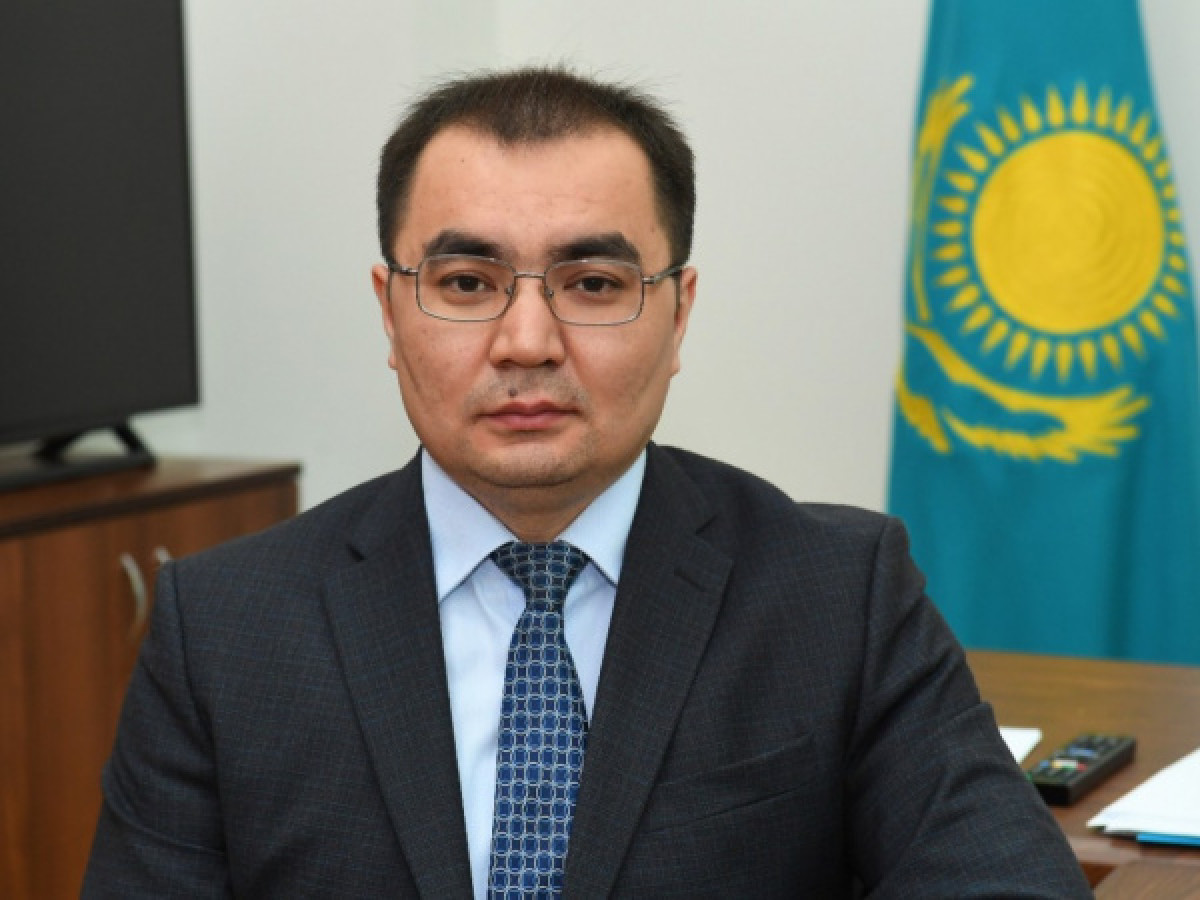 Әлібек Әлденей сменил Тамару Дюйсенову на посту секретаря партии Nur Otan