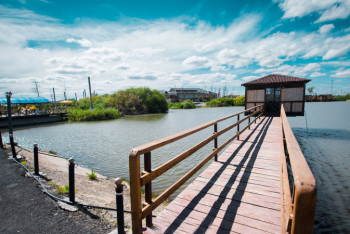 Фотография к новости: В Нур-Султане предложили построить экопоселок 