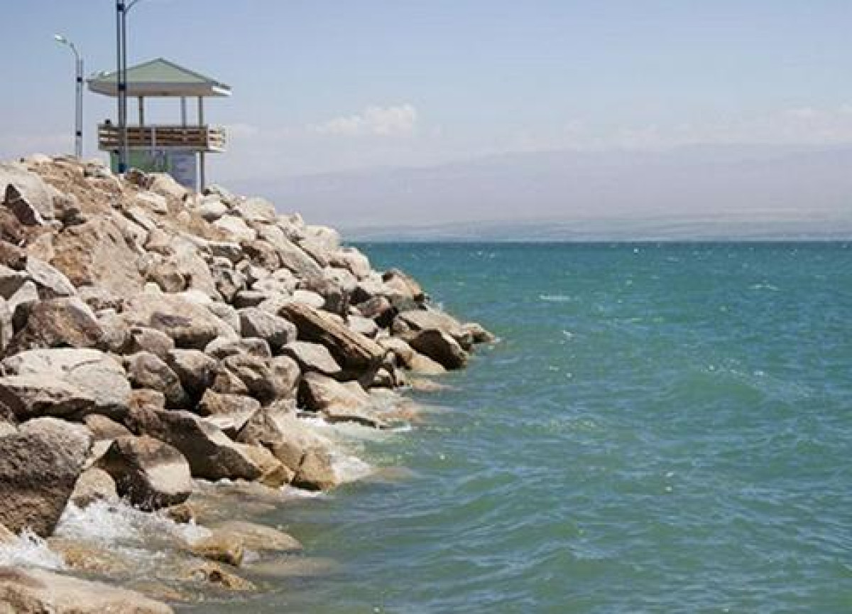 из открытых источников