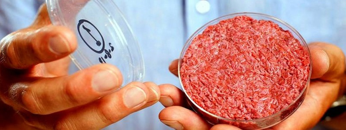 Искусственное мясо все ближе: теперь курицу могут создавать из гороха