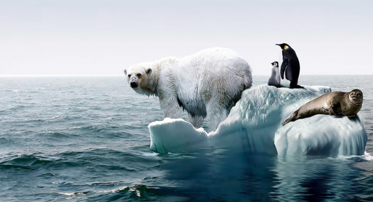 из открытых источников