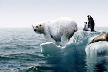 Фотография к новости: Учёные: Глобальное потепление оставит без воды больше миллиарда человек