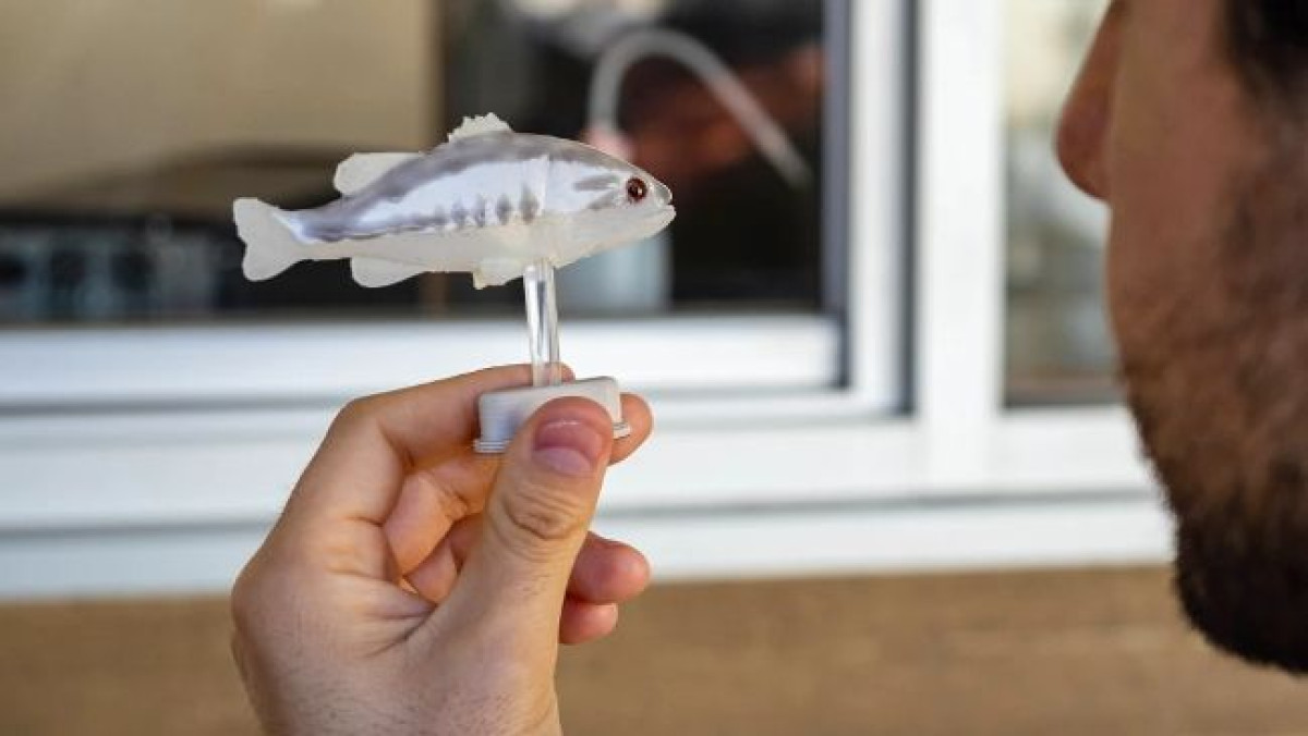 из открытых источников 