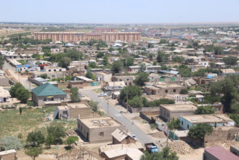 "Удар на себя приняла степь". Мнения экспертов о ЧП в Арыси 