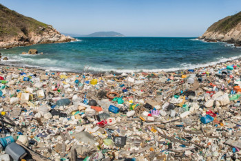 Применять "кнут вместо пряников" к загрязняющим природу обещают в министерстве экологии 