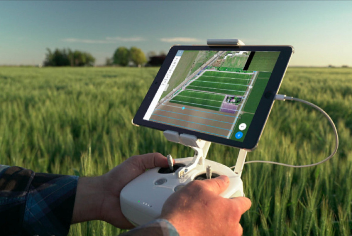 из открытых источников